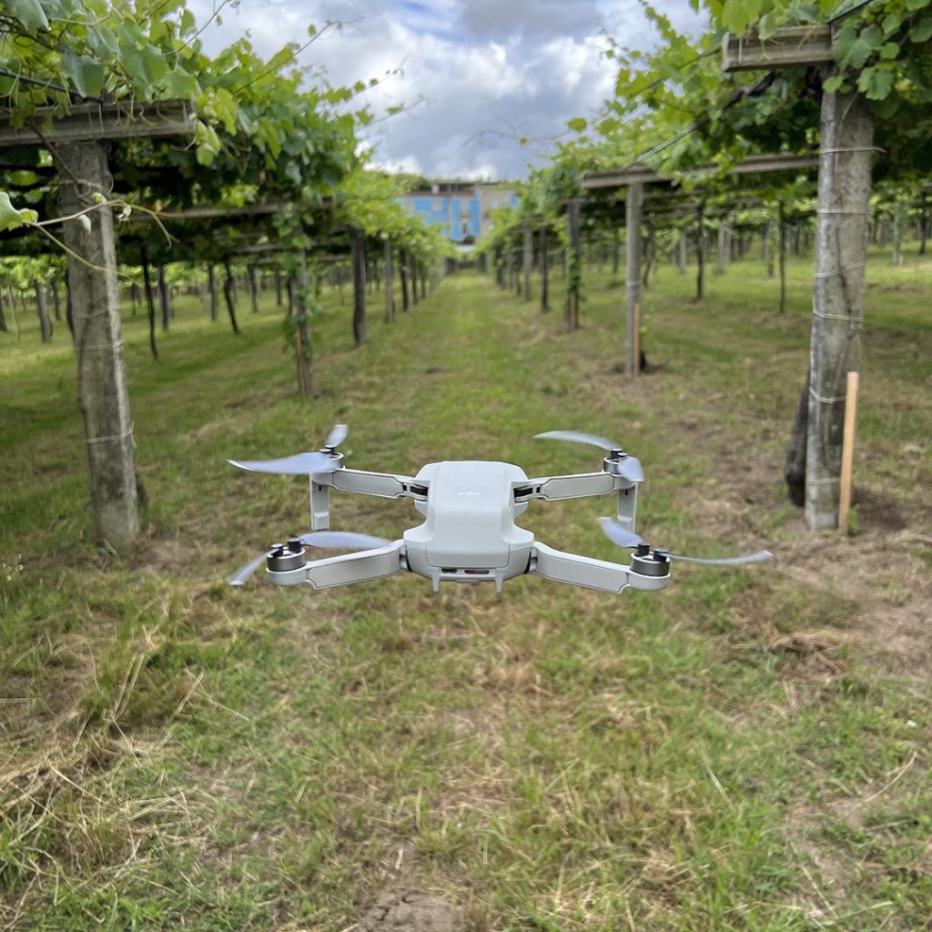 Granbazán Albariño