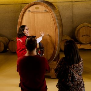 Bono regalo - Visita + cata