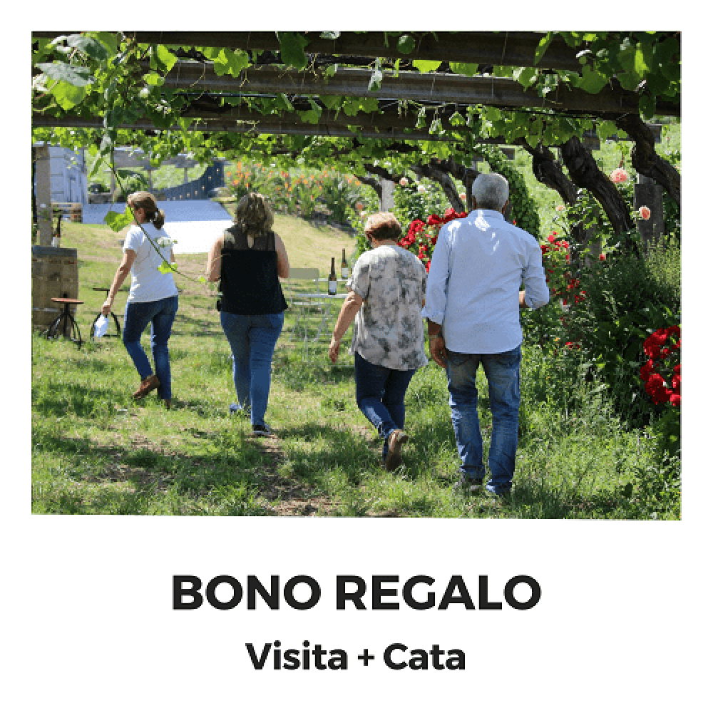Bono Regalo Visita + Cata