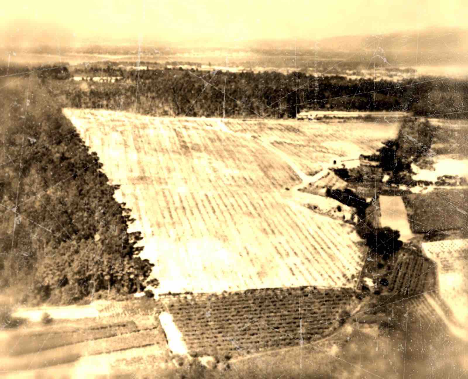 Finca del Salnés en Bodegas Granbazán