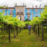Granbazán viticultura sostenible